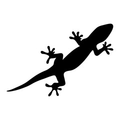 silhouette of gecko, lizard on white background. vector illustration