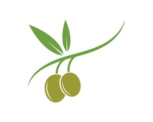 olive logo template vector