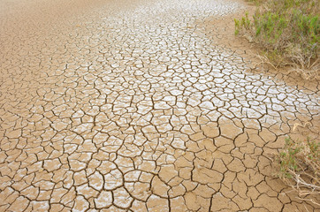 Mud Cracks in Salt Mediterranean Marsh 