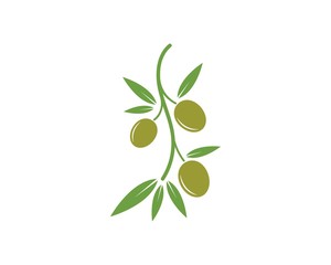 olive logo template vector