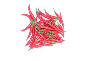 Fototapeta premium red chili