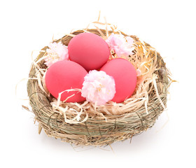 Nest with beautiful Easter eggs on white background