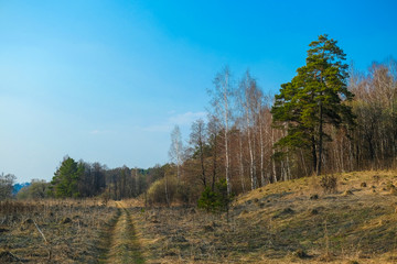 Country road in Tula region in Russia
