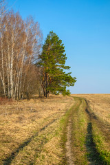 Country road in Tula region in Russia