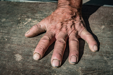 Hand of an old agricultural worker