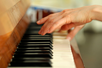 Fototapeta premium Female hands of a pianist playing the piano. Background, blur, close-up, cropped shot, side view. Concept of art and hobby.