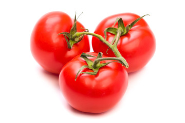 Tomatoes. A branch of ripe tomatoes. Isolate on white background