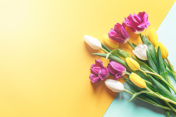 Bouquet of tulips on a two-colored background top view, the celebration of the women's holiday