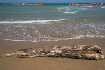 tronco al mare