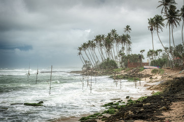 Sri Lanka stilts fishermen sticks in a windy day