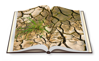 Infertile land burned by the sun: famine and poverty concept - Opened photobook isolated on white - I'm the copyright owner of the images used in this 3D render. background