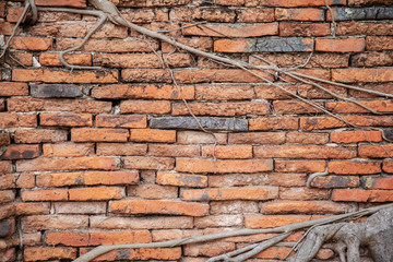red brick wall background
