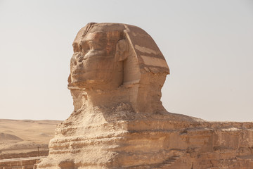 Fototapeta na wymiar The Great Sphinx and the Pyramid