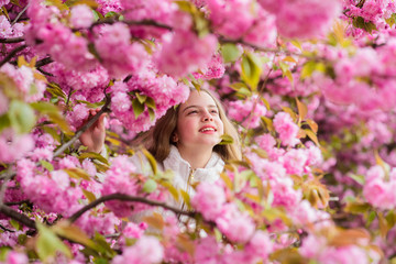 Lost in blossom. Botany concept. Girl tourist posing near sakura. Child on pink flowers of sakura tree background. Girl enjoying cherry blossom sakura. Cute child enjoy warm spring day. Tender bloom