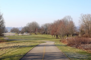The long empty sidewalk in the park on a sunny day.