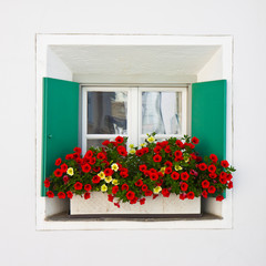 Typical swiss window with shutters in green and colorful flowers on the windowsill