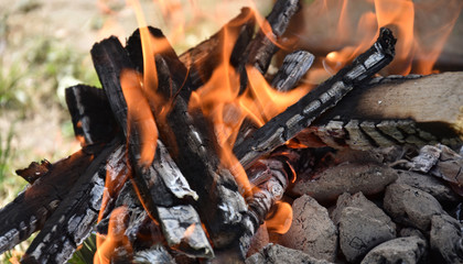 Fire for barbique, burning woods