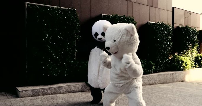 Panda and teddy bear dancing