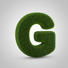 Green moss uppercase letter G isolated on white background