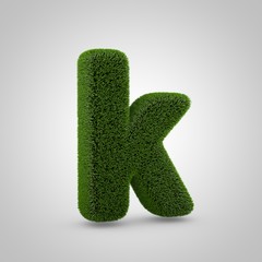 Green moss lowercase letter K isolated on white background