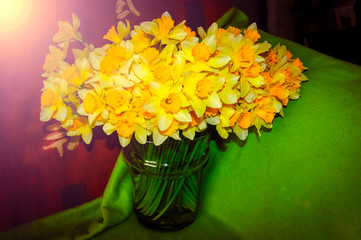 Daffodils in Vase with Low light . Bouquet of yellow narcissuses close up on green piece of cloth