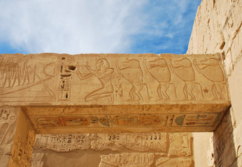 Detail of Egyptian temple, depicted baboons and Pharaoh.
