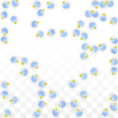 Vector Realistic Blue Petals Falling on Transparent Background.  Spring Romantic Flowers Illustration. Flying Petals. Sakura Spa Design. Blossom Confetti.