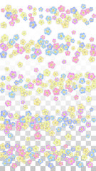 Colorful Vector Realistic Petals Falling on Transparent Background. Spring Romantic Flowers Illustration. Flying Petals. Sakura Spa Design. Blossom Confetti. Design Elements for Wedding Decoration.
