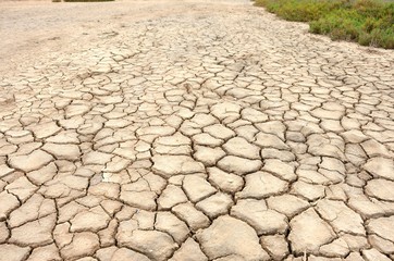 Mud Cracks in Salt Mediterranean Marsh