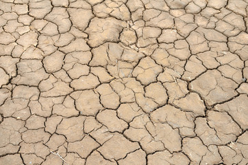 Mud Cracks in Salt Mediterranean Marsh
