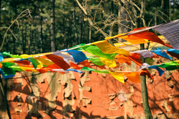 Colorful Tibetan prayer flags hanging on ropes attached to trees in Hebei province, China.
