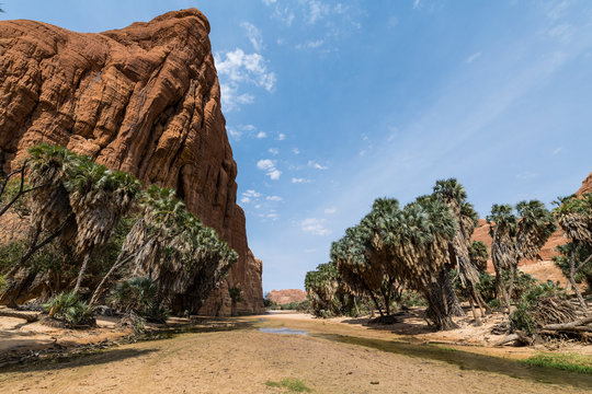 Waterhole, Ennedi Plateau, Ennedi region, Chad