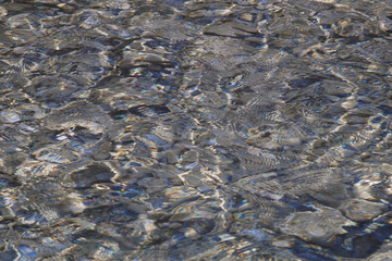 dispersion of sunlight on the surface of water in a mountain river. Through the water you can see...