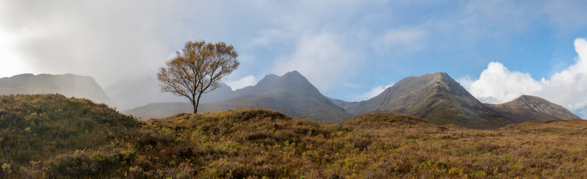 A lone tree and the Cuillins on The Isle of Skye, Inner Hebrides, Scottish Highlands, Scotland