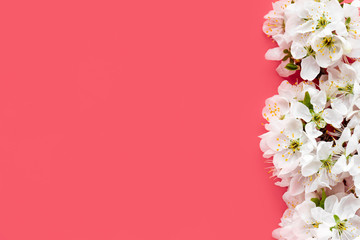 Spring flowers. White cherry flowers on a red background. Spring background, copy space, flat lay.