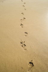 Fussspuren im Sand 