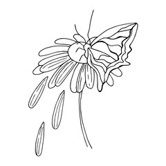 Doodle flower drawing