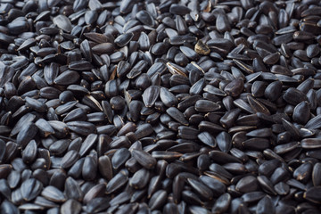 Background of sunflower seeds. Close up. texture