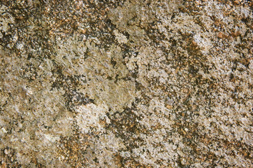 Stone background