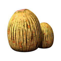 3D Rendering Alien Plants on White