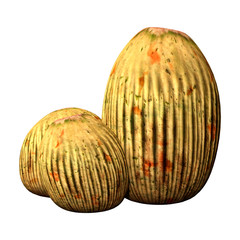 3D Rendering Alien Plants on White