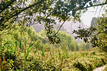 beach in north of spain