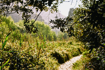 beach in north of spain
