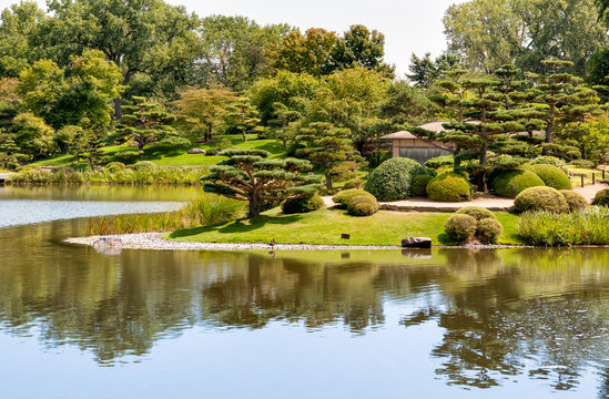 Summer Landscape on sunny day of Japanese Island in Chicago Botanic Garden, Glencoe, USA