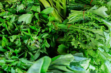 bunches of green spices on the street market