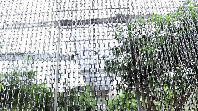 A line of steel chain protects entry to the aviary with tropical plants and exotics birds.