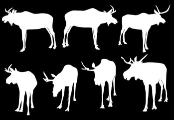 seven deer silhouettes on black