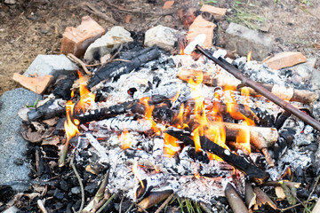 Marshmallows on a stick over bonfire