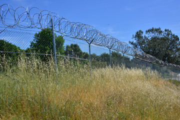 Razor wire protecting a government property