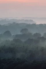 Fotobehang Donkergrijs Mystieke uitzicht vanaf de top op bos onder nevel in de vroege ochtend. Angstaanjagende mist tussen lagen van boomsilhouetten in taiga onder predawn-hemel. Ochtend sfeervol minimalistisch landschap van majestueuze natuur.